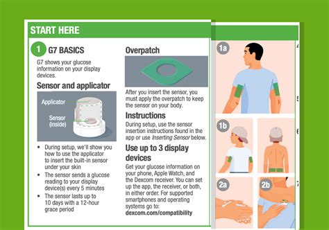 How to Set up Dexcom G7 CGM | Training Preparation | Tandem Diabetes Care