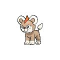 Litleo Pokédex: stats, moves, evolution & locations | Pokémon Database