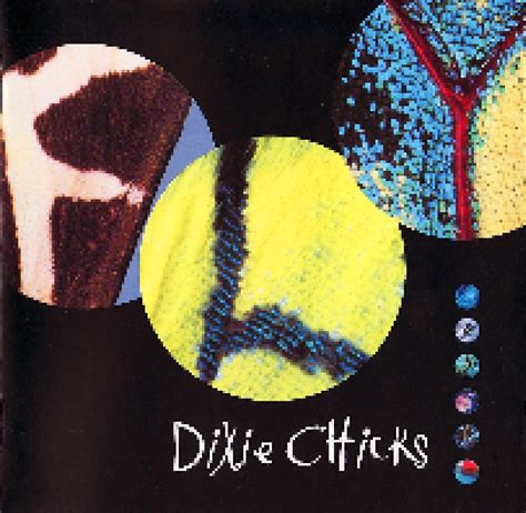 Fly | CD (1999) von Dixie Chicks