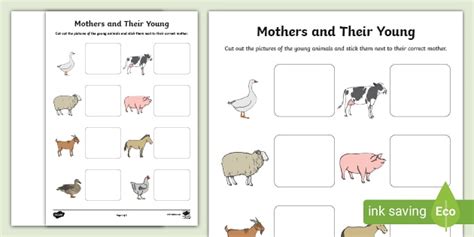 Farm Animals Shadow Matching Activity - Twinkl