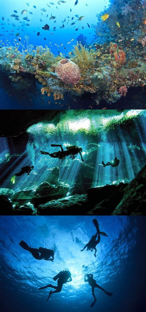 THE 25 BEST SCUBA DIVING LOCATIONS IN THE WORLD http://www.deepbluediving.org/liquivision-lynx ...