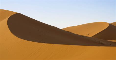 Facts About the Sahara Desert