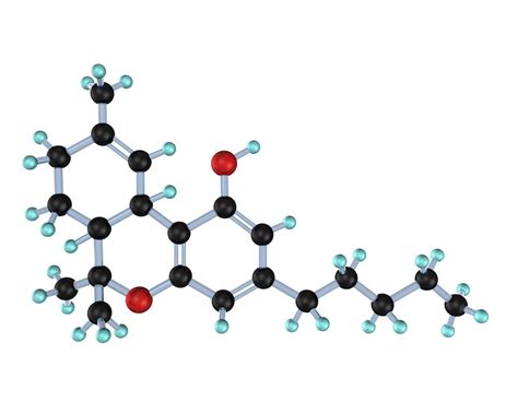 What is THC (Tetrahydrocannabinol)? | Live Science