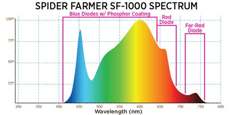 Horticulture: Do Plants Use Green Light? Why LED Grow Lights Purple??? -AlboPepper.com