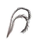 Emu Feather at best price in Haldwani by Sarla Industries | ID: 4651663055