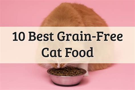 10 Best Grain-Free Cat Food (2021 Review) Complete Guide