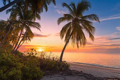 Tropical Beach with Sunrise or Sunset and Ocean in Maldives Stock Image - Image of horizon ...