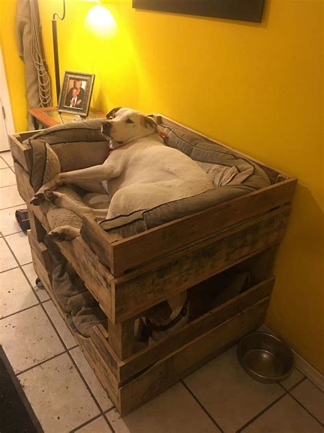 Cama grande para perros para 2 personas litera | Etsy | Literas para perros, Camas para perros ...