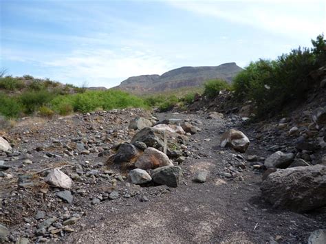 Stealth Survival : Desert Survival Skills Practice - Part One - Checking the Dry Stream Bed