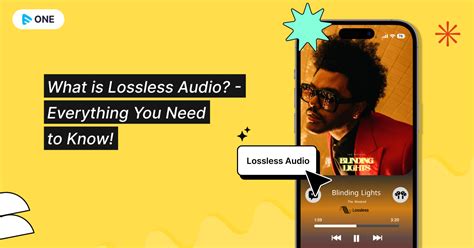 What is Lossless Audio: Everything You Need to Know - Muvi One