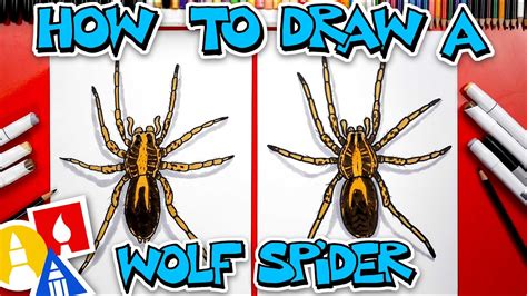 How To Draw A Wolf Spider - YouTube