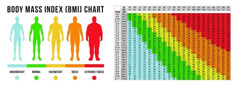 BMI CHART What Is Your Healthy Weight? New You Plan VLCD, 54% OFF