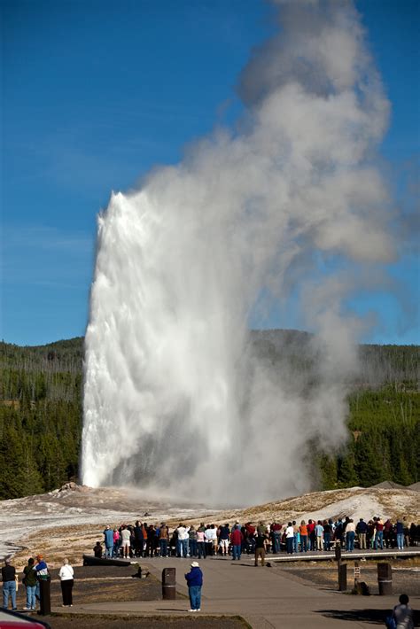 Old Faithful Geyser Erupting - Yellowstone National Park | Flickr