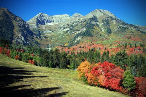 timpanogos in the fall - Google Search | Utah parks, Travel around the world, Sundance resort