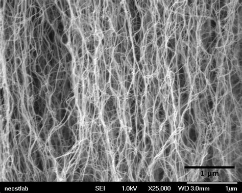 New device uses carbon nanotubes to snag molecules | MIT News | Massachusetts Institute of ...