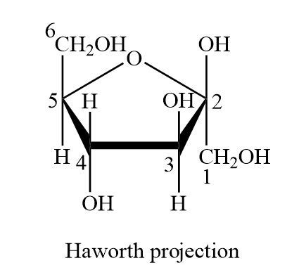 Fructose: Draw the structure of the D form, the Fischer projection, and the Haworth structure of ...