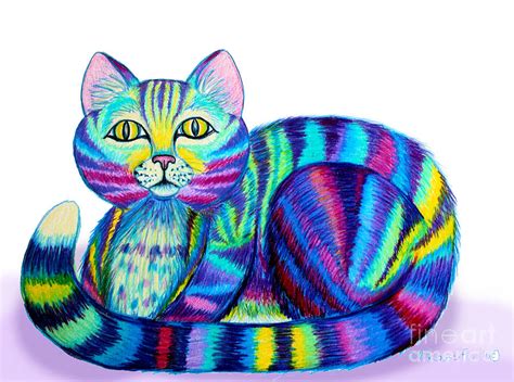 Colorful Cat by Nick Gustafson