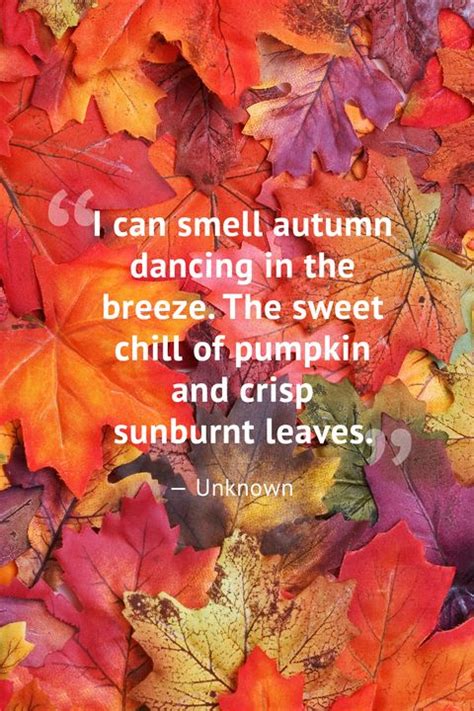 10 Beautiful Fall Quotes - Best Sayings About Autumn