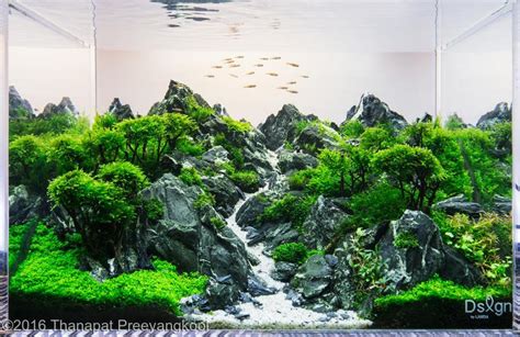 2016 AGA Aquascaping Contest - Entry #129 | Aquascape, Aquascape design ...