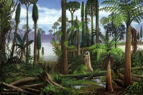 Carboniferous forest flora | Fossils, Prehistoric creatures ...