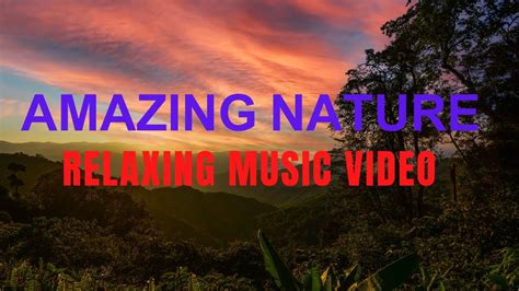 nature meditation video, meditation healing nature, Zen music, sleeping music, study music - YouTube