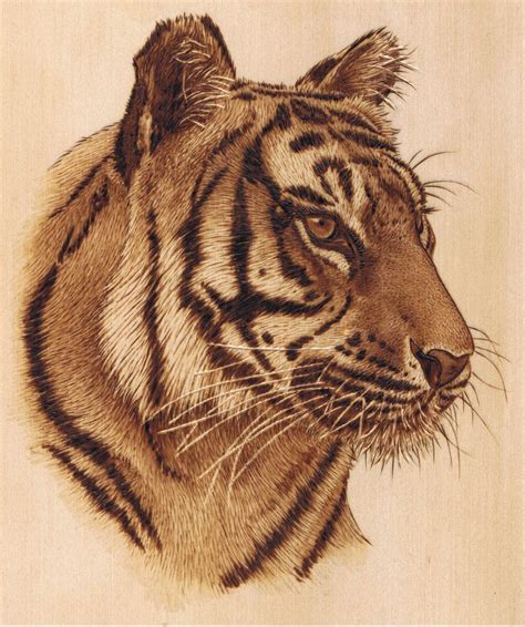 Sue Walters Tiger Lesson Kit - Pyrography (Woodburning) | Wood burning art, Wood burning ...