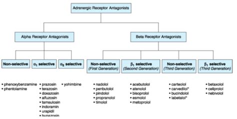 Adrenergic Blocking Agents Flashcards | Quizlet