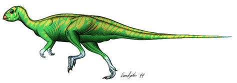 Qantassaurus Pictures & Facts - The Dinosaur Database