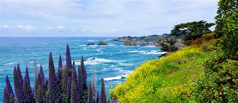 Top Attractions in Mendocino CA | Hill House Inn