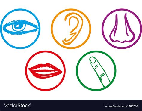 Five senses icon set Royalty Free Vector Image