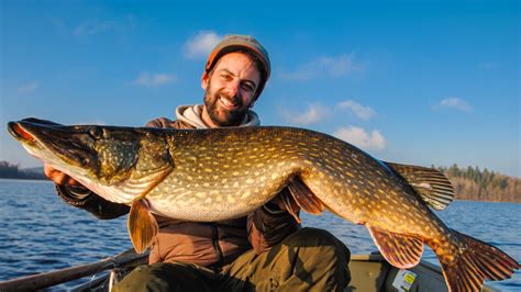 Pike Fishing in Sweden | Guided-Fishing.com