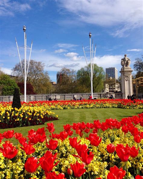 Around London | Love flowers, Flowers, Landscape