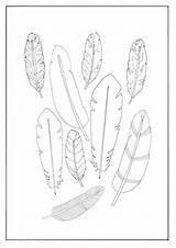Indian Feathers Coloring Pages At GetColoringscom  Free Printable sketch template