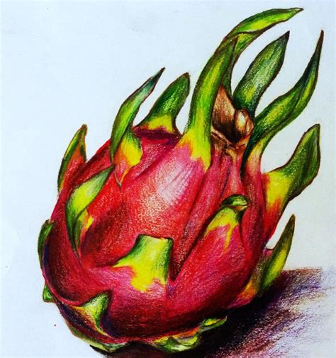 Dragon fruit Still Life by yunsart on DeviantArt