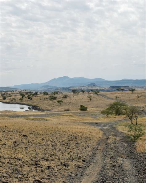 The Arid Landscapes of Lake Magadi, Kenya Stock Image - Image of magadi, arid: 125056491