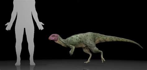 "Dinosaur discovery the missing link" | OCAU Forums