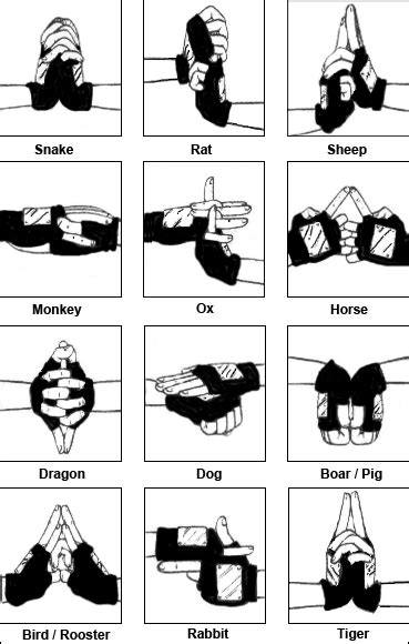 Ninja Art Jutsu Hand Signs