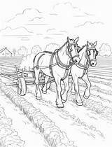 Premium Photo  Coloring Pages Of A Man And horse Pulling plow sketch template