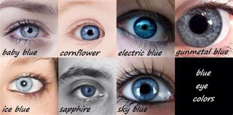 Types Of Blue Eyes - ProProfs Quiz