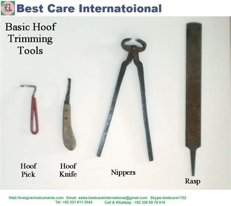 Hoof Trimming Tools Kit - Buy Horse Hoof Tools Kit Hoof Trimming Kit Hoof Trimming Tools Set ...