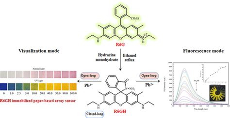 An “Off–On” Rhodamine 6G Hydrazide-Based Output Platform for ...