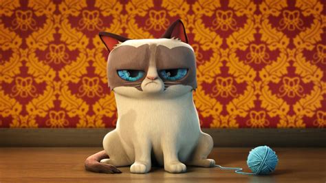 Grumpy Cat Wallpapers - Top Free Grumpy Cat Backgrounds - WallpaperAccess