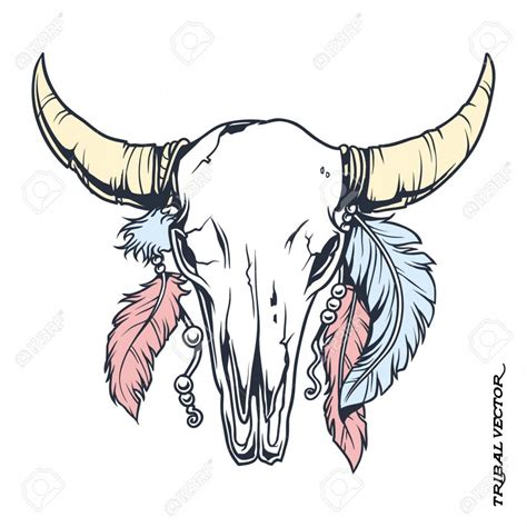 Steer Skull Vector at Vectorified.com | Collection of Steer Skull Vector free for personal use