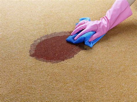 How to Clean Carpet | Better Homes & Gardens