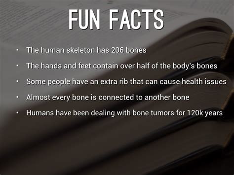 5 Fun Facts About The Skeletal System - Fun Guest