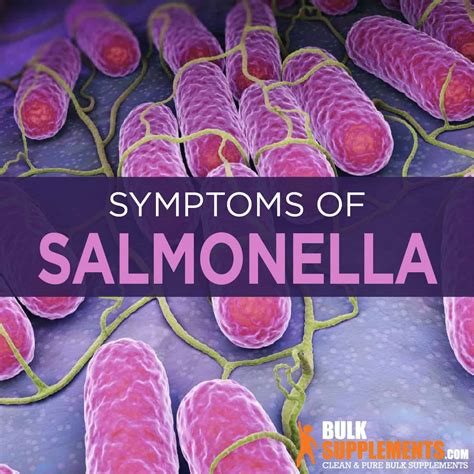 Salmonella Symptoms Vomiting