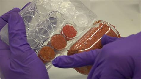 Lab-grown meat is the future and environmentally friendly says think ...