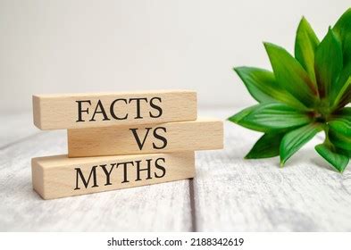 Fact Vs Myth Symbol Concept Words Stock Photo 2188342619 | Shutterstock