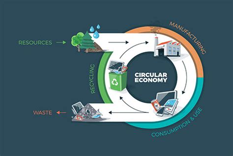 Circular Economy - Definition, Principles, Benefits and Barriers (2022)