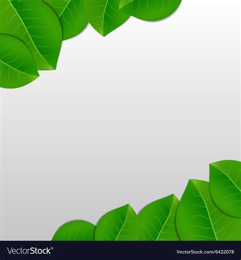 Green Leaf Background Images Free - Infoupdate.org